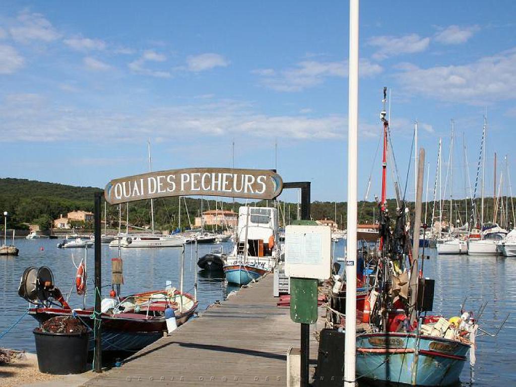 183 ILE DE PORQUEROLLES -2_000003.jpg